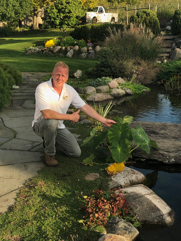 Water Feature-Pond Maintenance Contractor Of Rochester (NY) - Acorn 