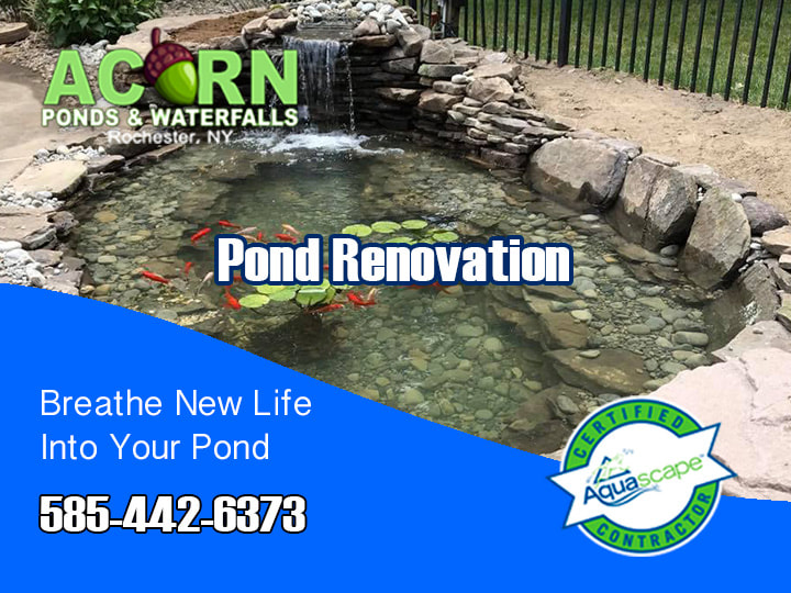 Acorn’s Pond (Leak/Liner) Repair & Renovation In Rochester, Buffalo & Western (NY)